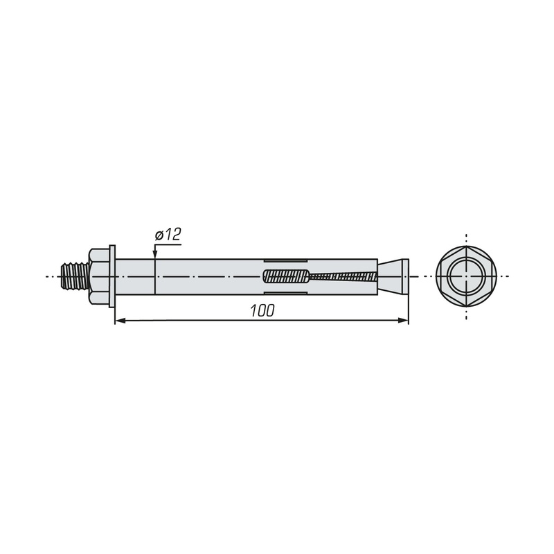 Болт анкерный с гайкой SWFS 12х100 (30 шт)