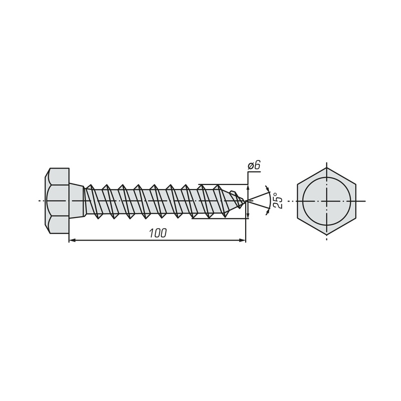 Шуруп сантеxнический SWFS 6х100 (50 шт)
