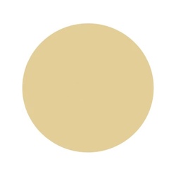 Шпаклёвка по дереву Текс Биотекс дуб (0,25 кг)