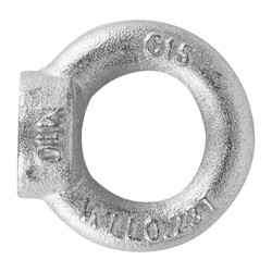 Рым-гайка SWFS DIN582 М10 (1 шт) пакетик